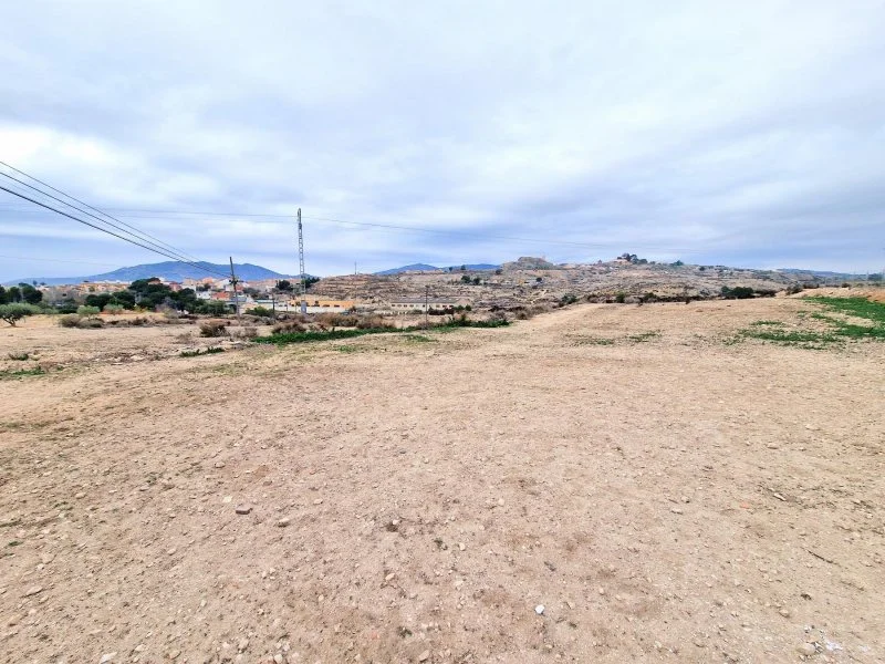 Two-parcel land near Monovar
