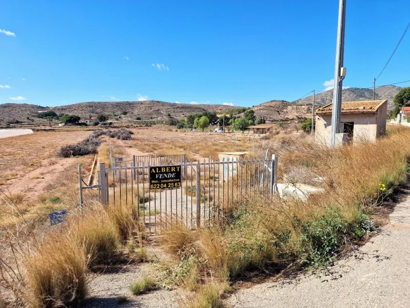 Large flat plot near Novelda