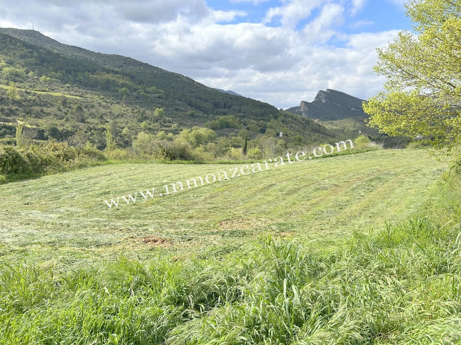 Rustic land near Estella, 7,877 m²