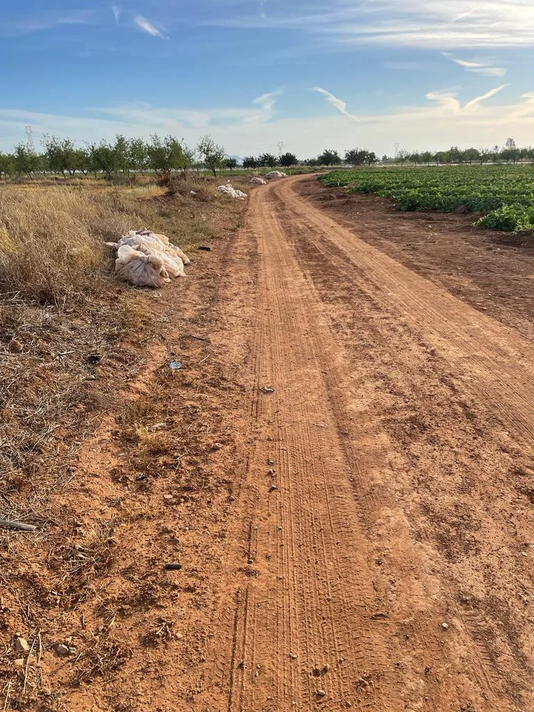 Rustic plot near Cartagena, 3913 m²