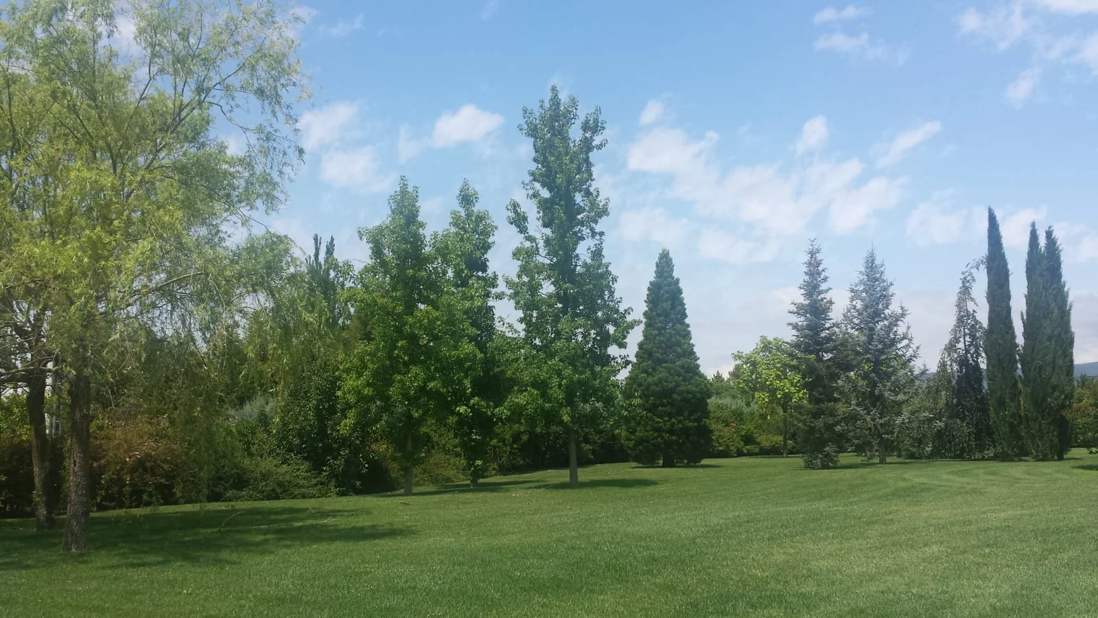 Finca recreativa cerca de Sangüesa, 10.000 m²