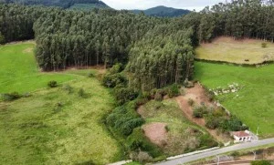 Urban plot in Santianes, 3105 m²