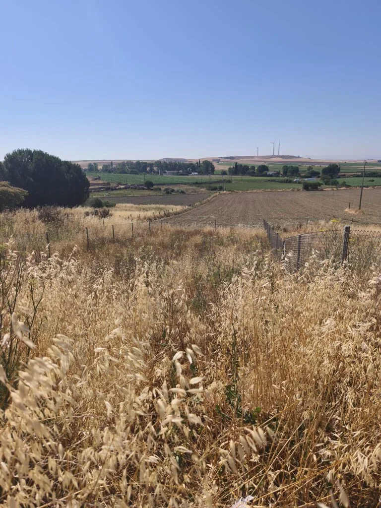 Parcela urbana en Alba de Tormes