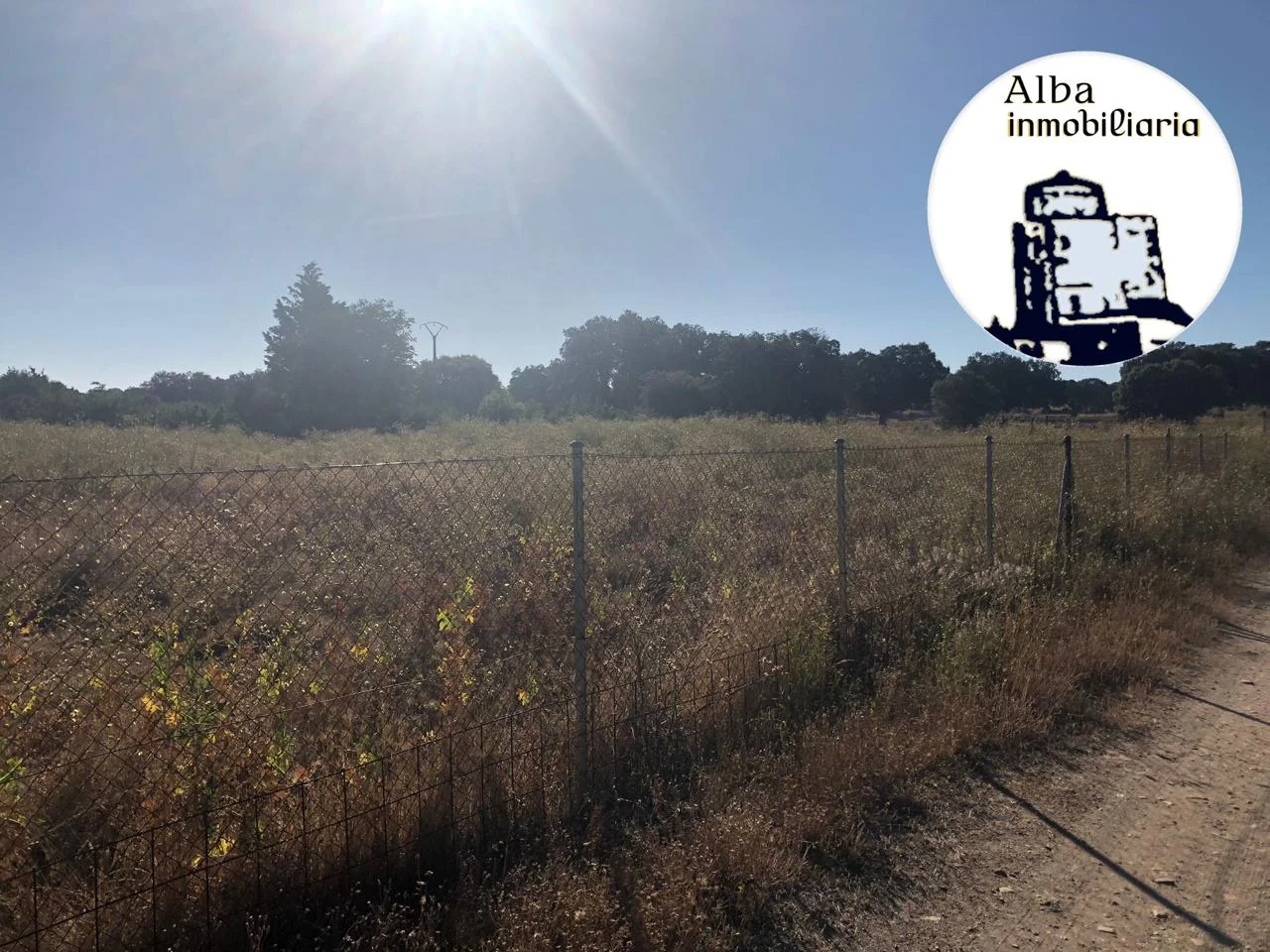 Agricultural plot near Terradillos, 1,999 m²