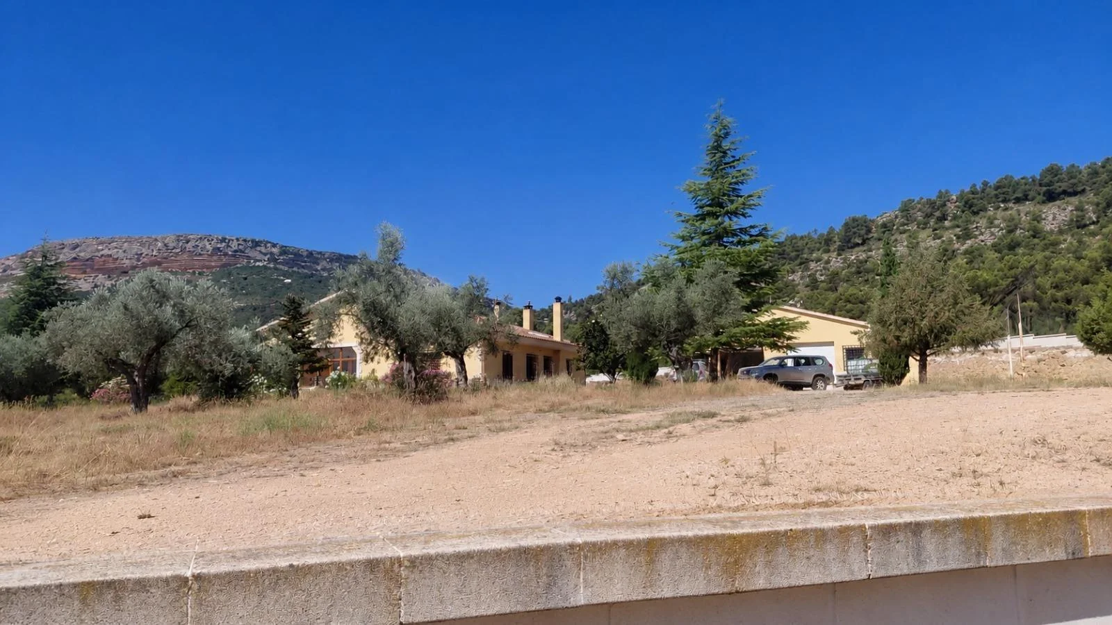 Agroforestry estate with 326 hectares