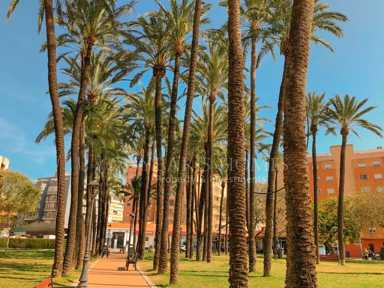 Street-level Dénia commercial investment