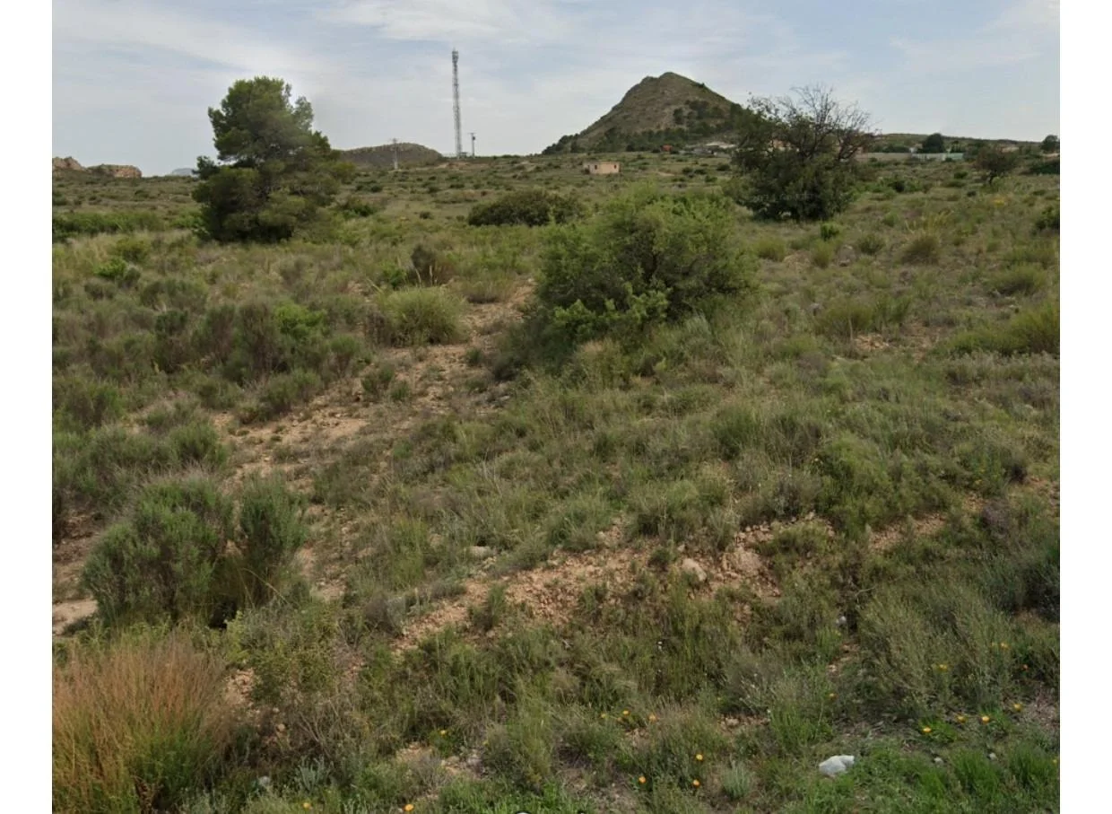 Parcela rústica cerca de Alicante, 16.232 m²