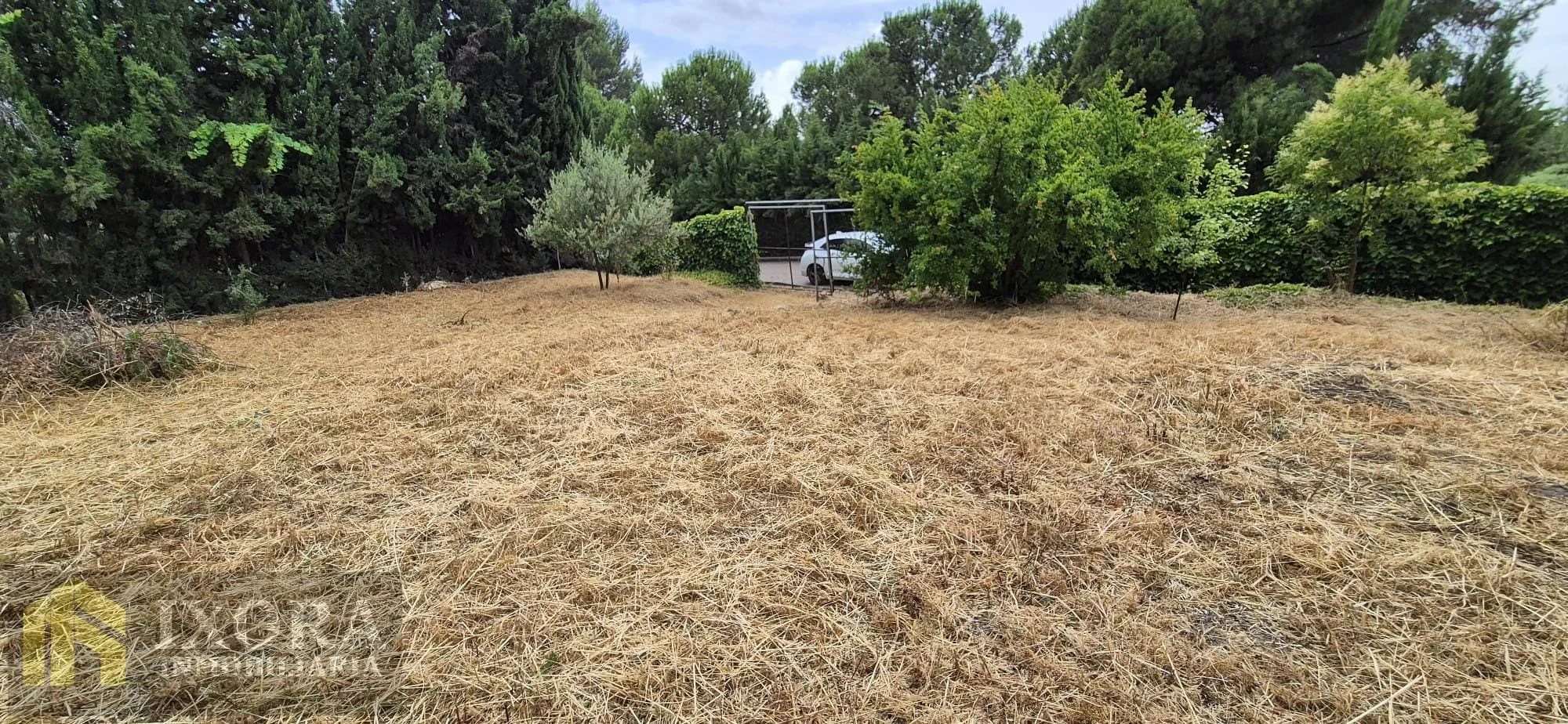 Rustic plot near Linares greenway