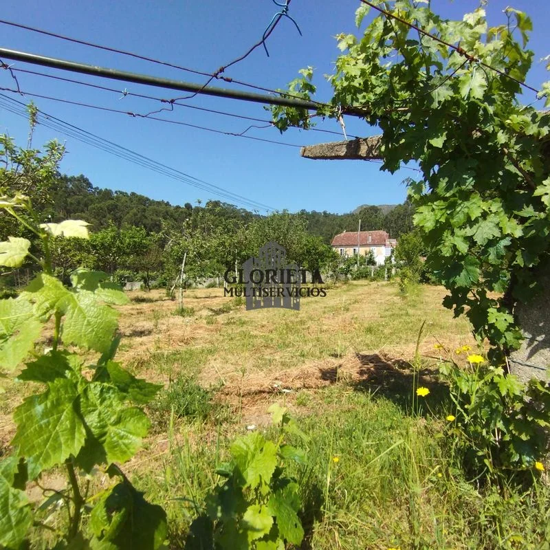 Parcela edificable en Chenlo con viñedo