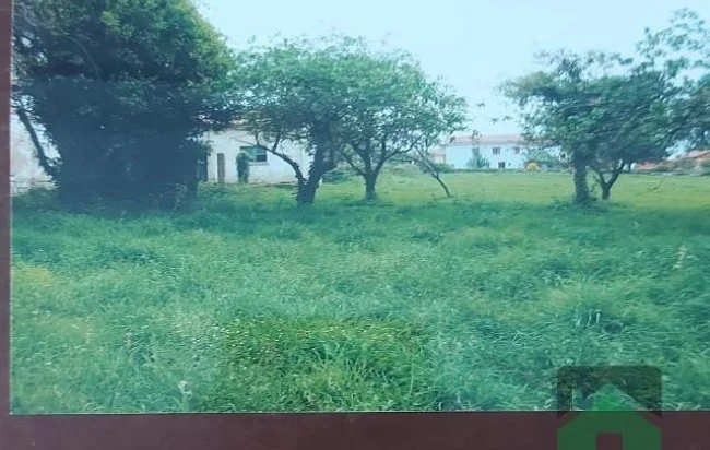 Renovation house with large plot