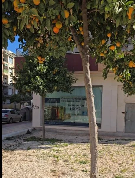 Amplio local esquinero junto a estación