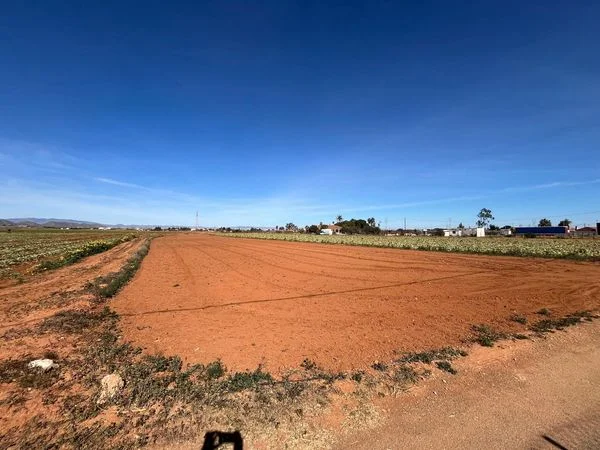 Rural plot near Cartagena, 3,431 m²