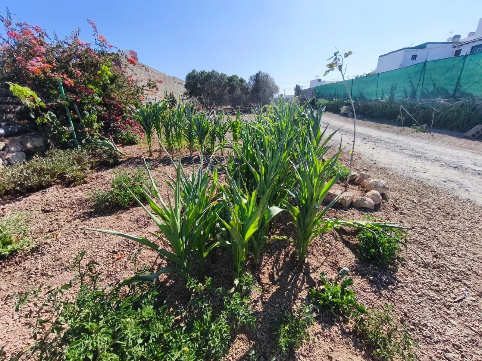 Urban plot with legal 79 m² building