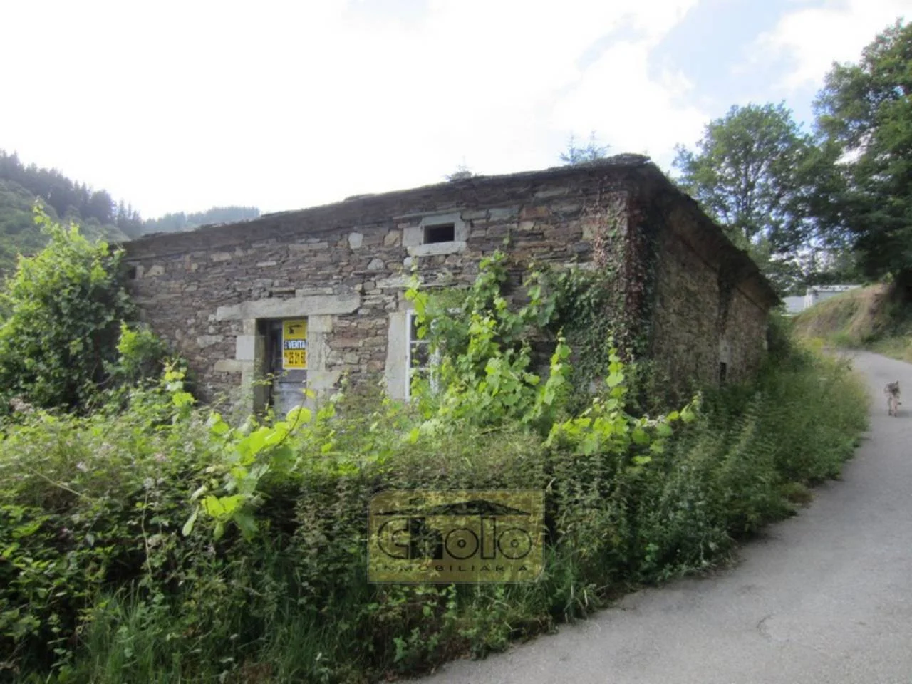Historic house in A Fonsagrada