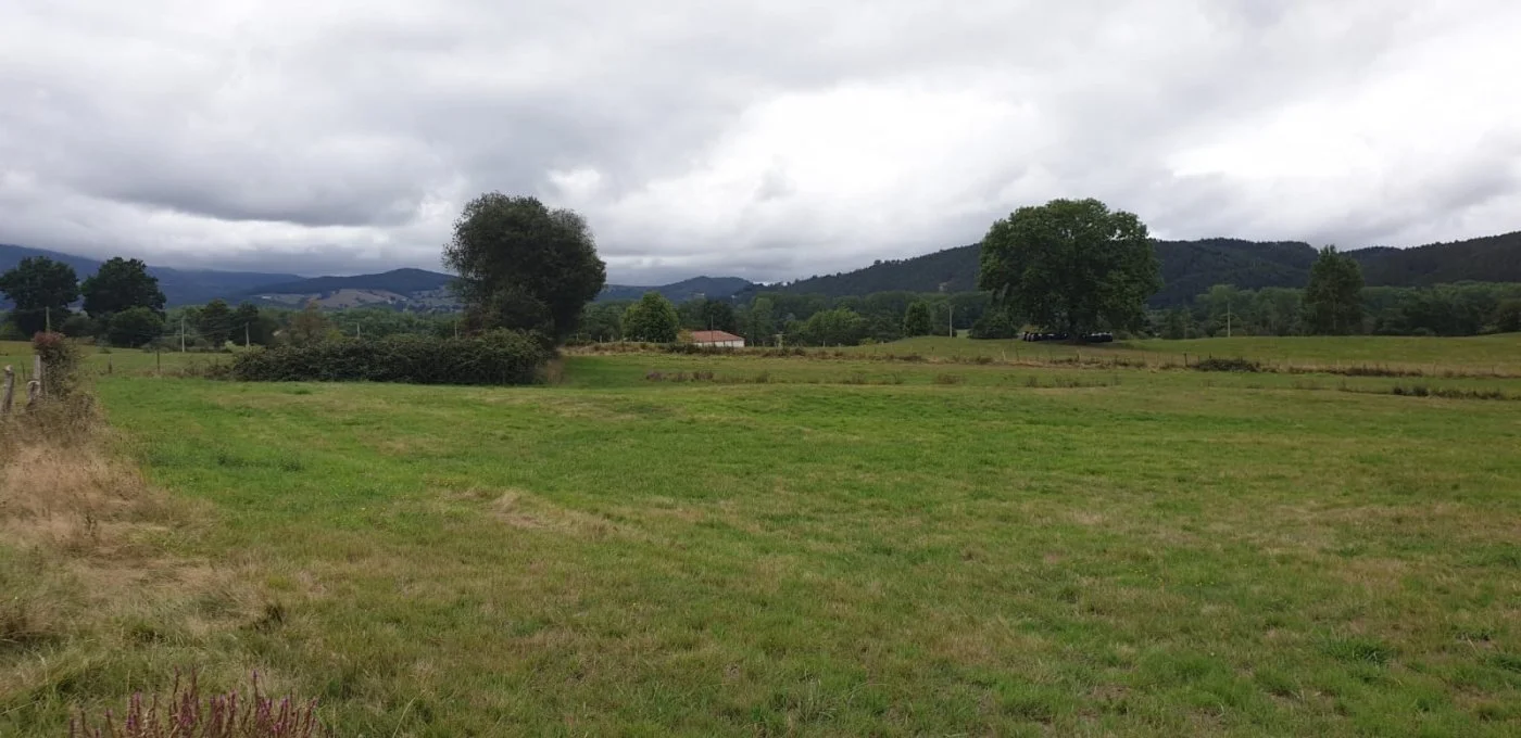 Sunny rural plot near Mazcuerras