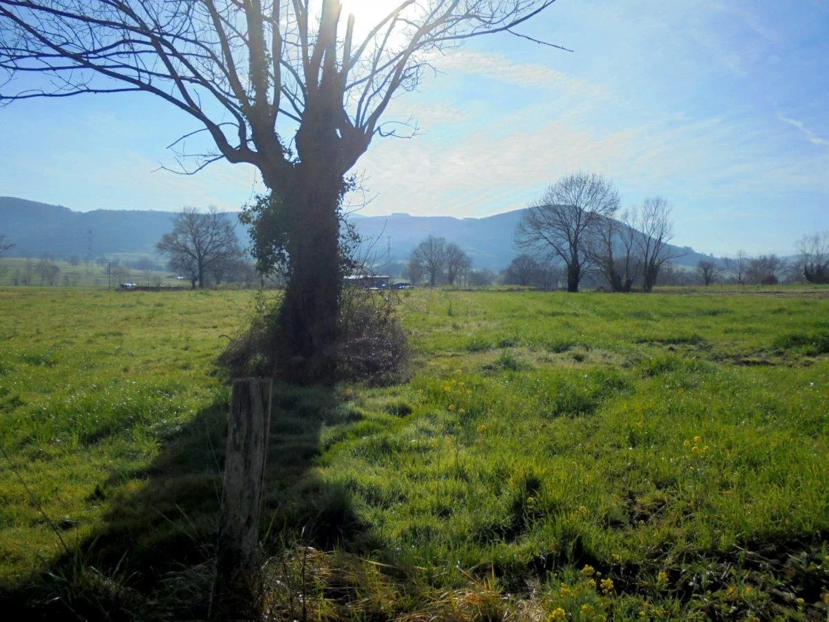 Flat rural land in Penagos, 8,000 m²