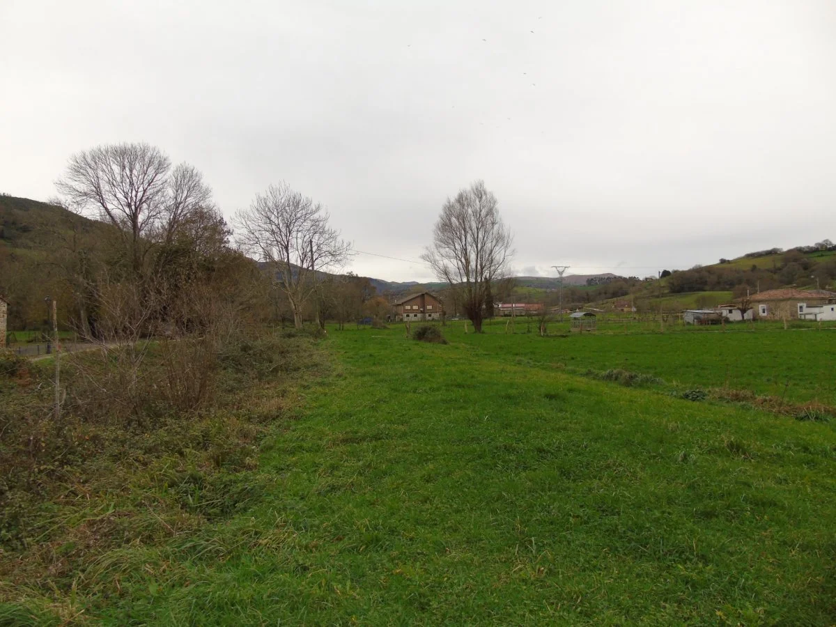 Rustic land near mountain stream