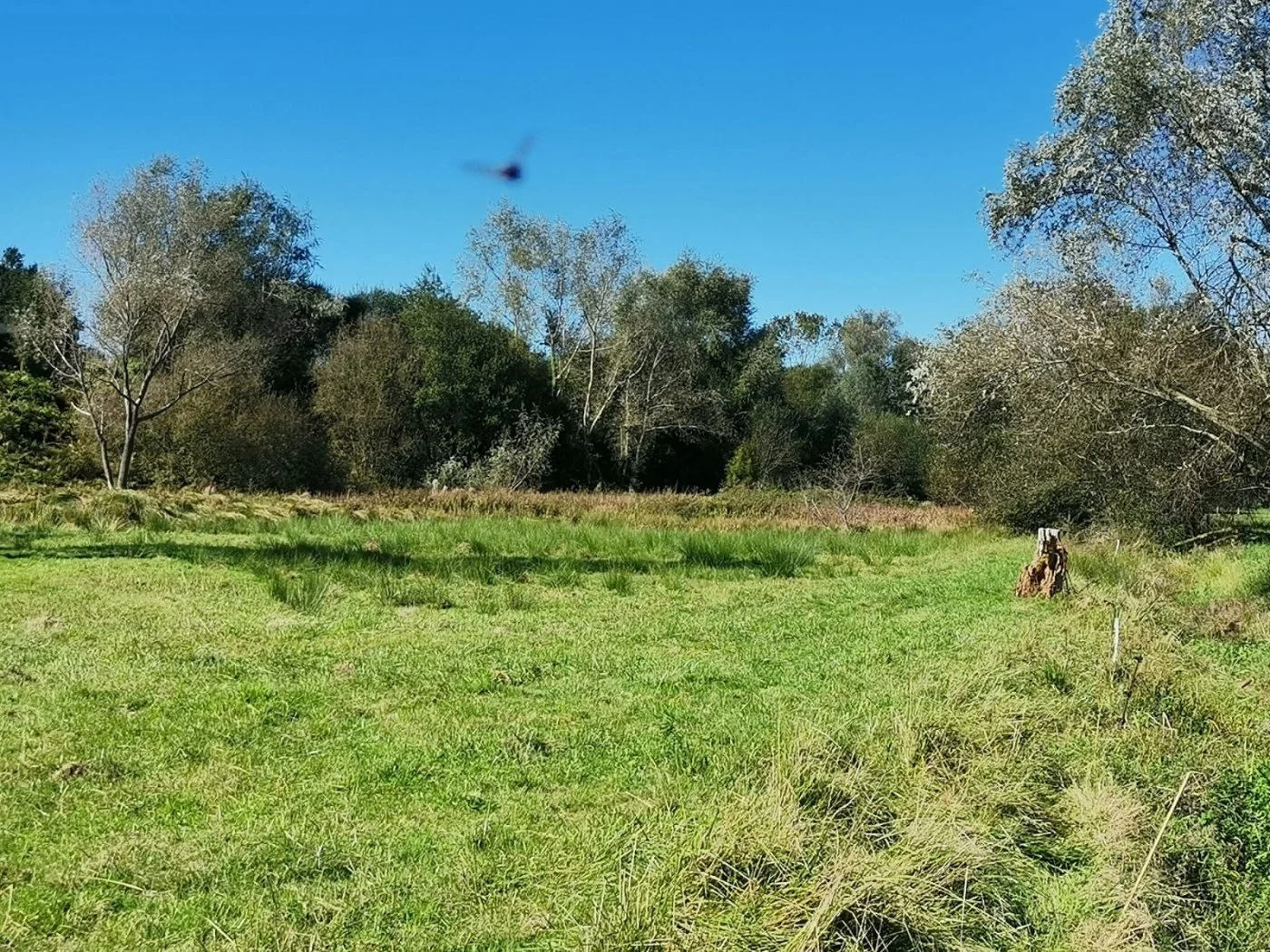 Flat rural plot near Cayón
