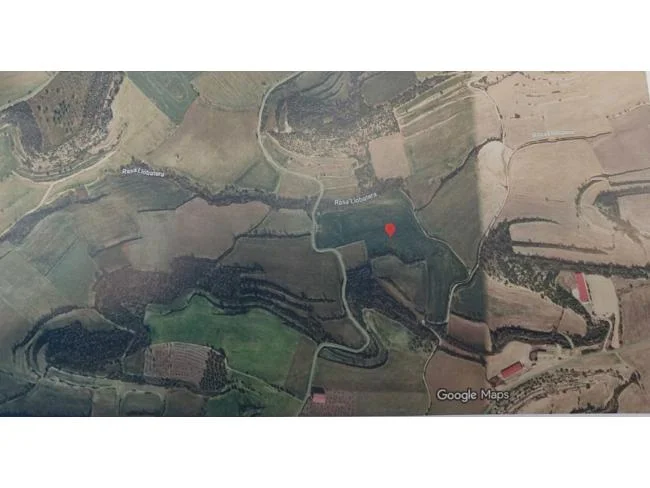 Finca rústica llana de 46.000 m²