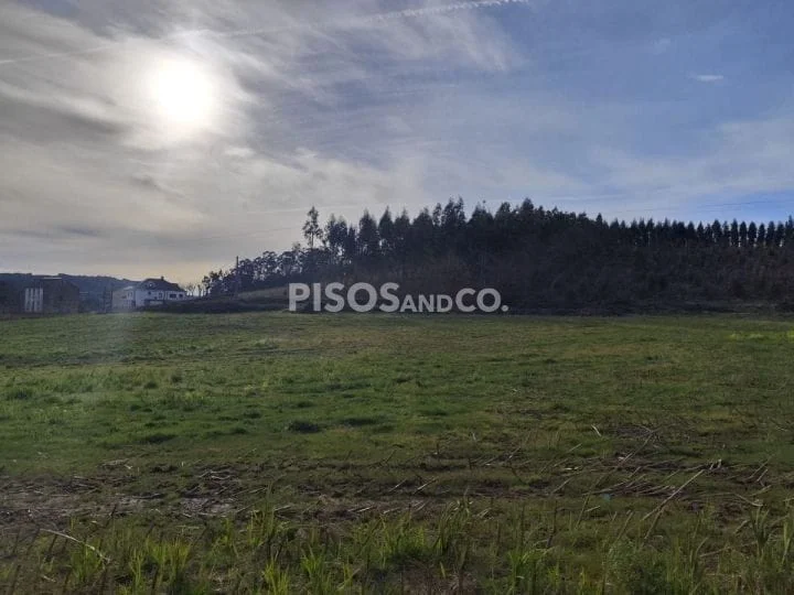 Urban residential plot, 12,168 m²