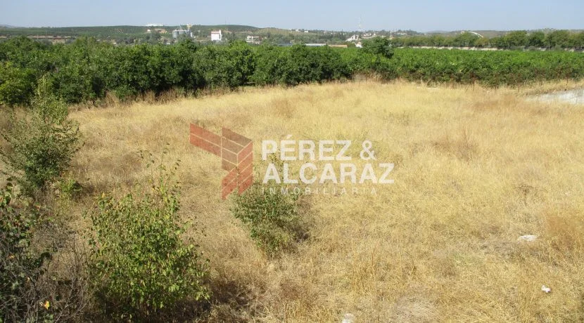 Solar terciario en Palma del Río