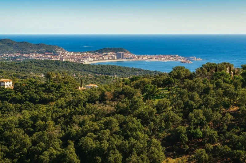 Developable sea-view plot in Mas Nou