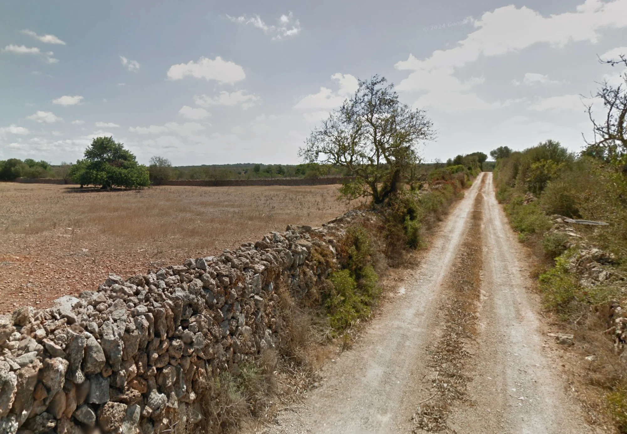 Parcela rústica urbanizable cerca de Ses Salines