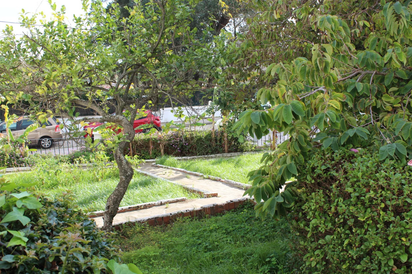 Renovation house El Pelayo, 4 bedrooms