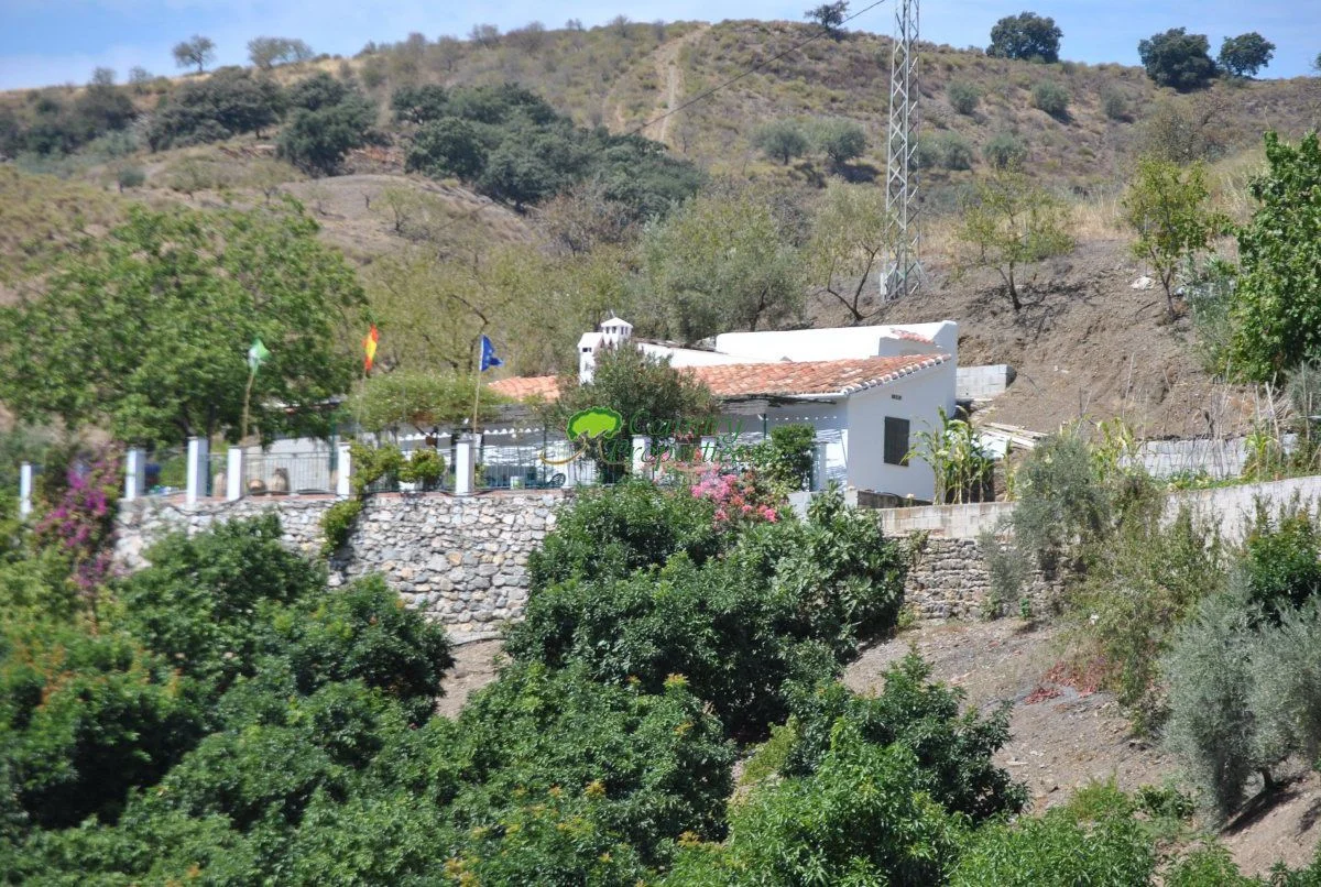 Casa rústica con plantación de aguacates