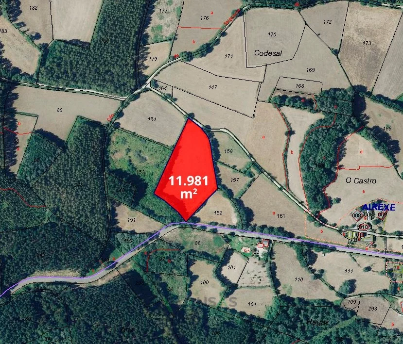 Finca rústica en Salgueiros, 11.981 m²