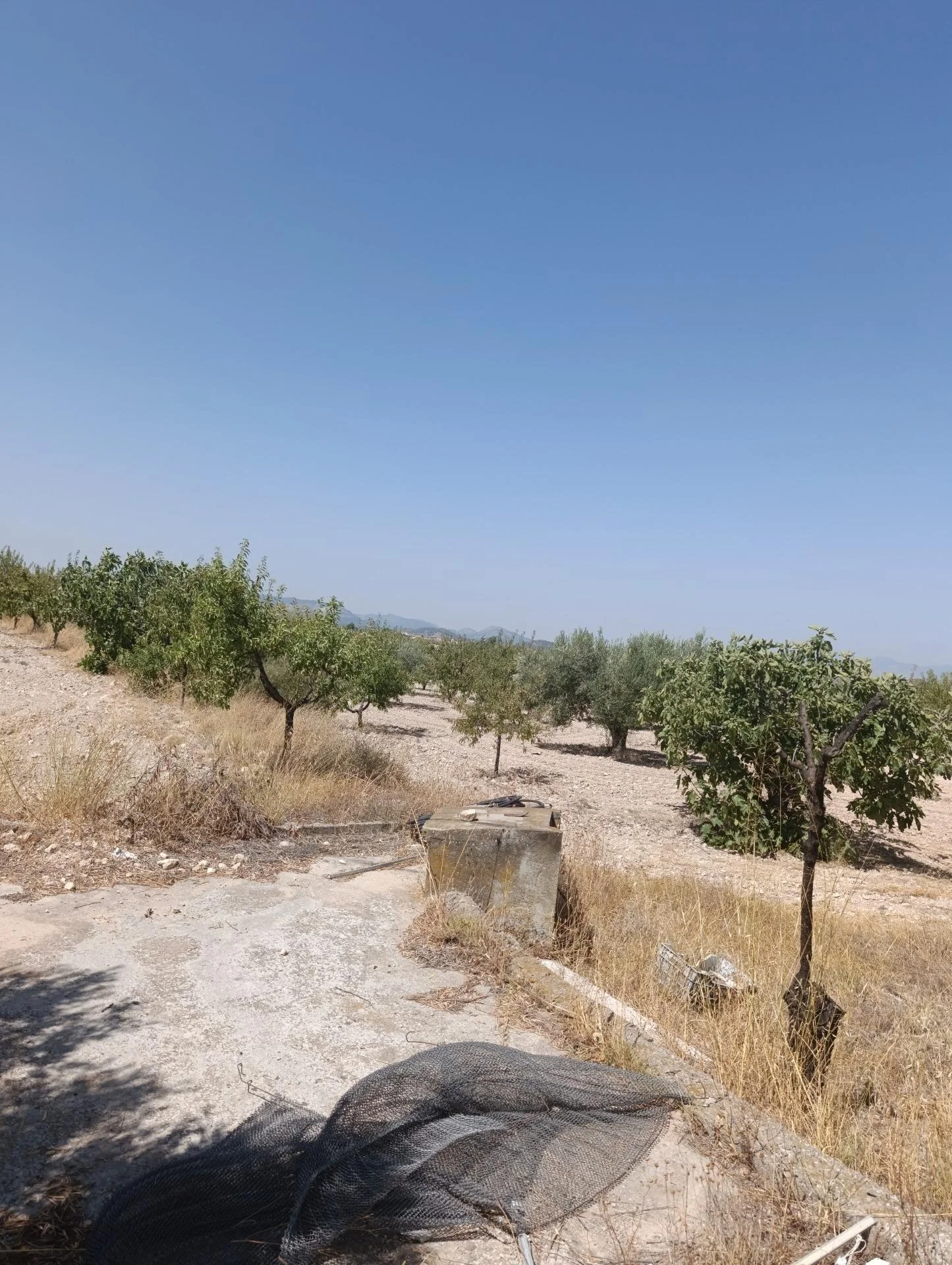 Rural plot with 60 m² outbuilding