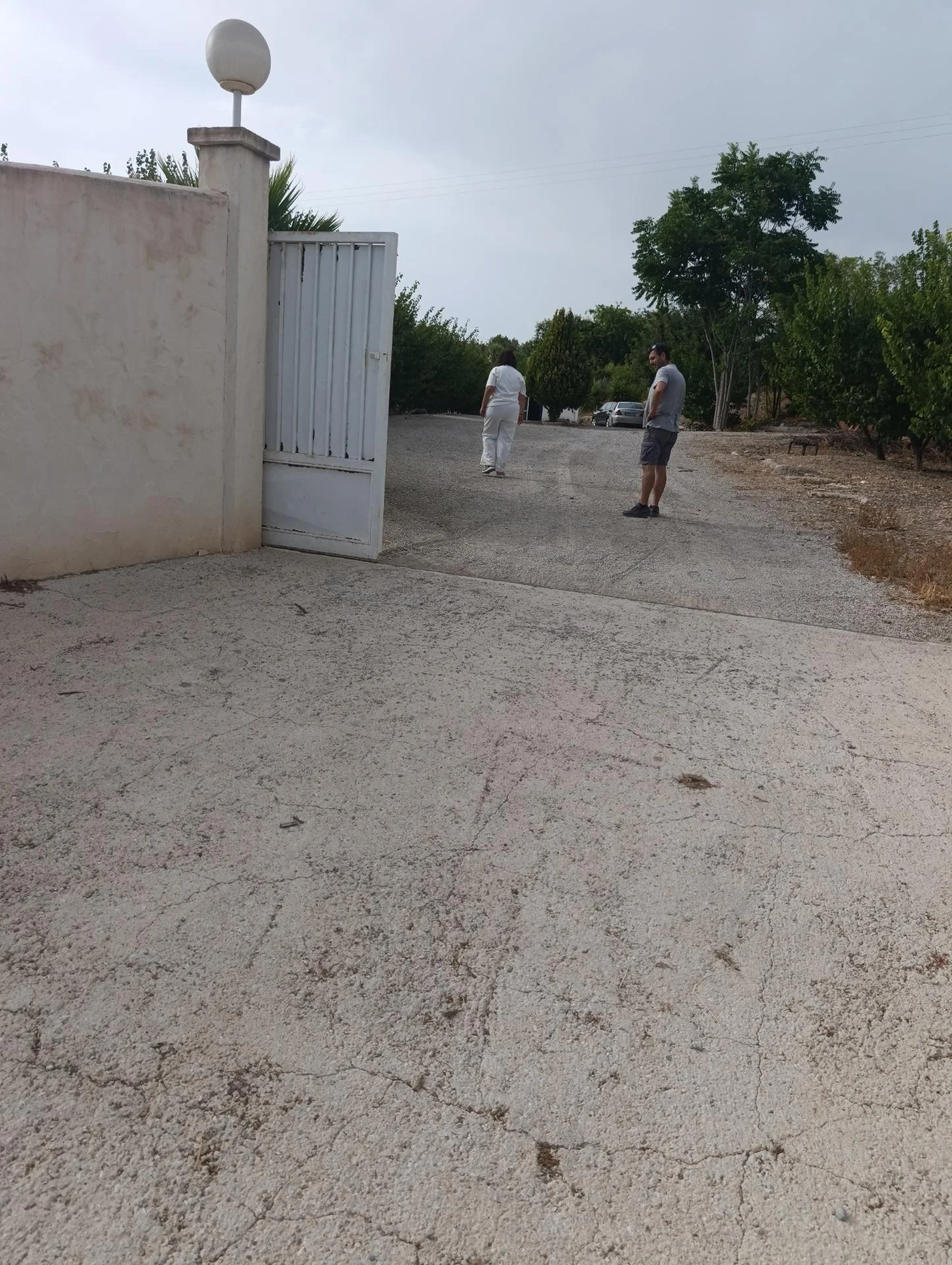 Productive rural farm with 50,000 m²
