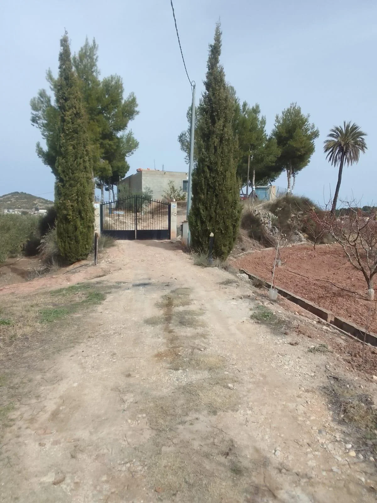 Productive rural finca with established orchards