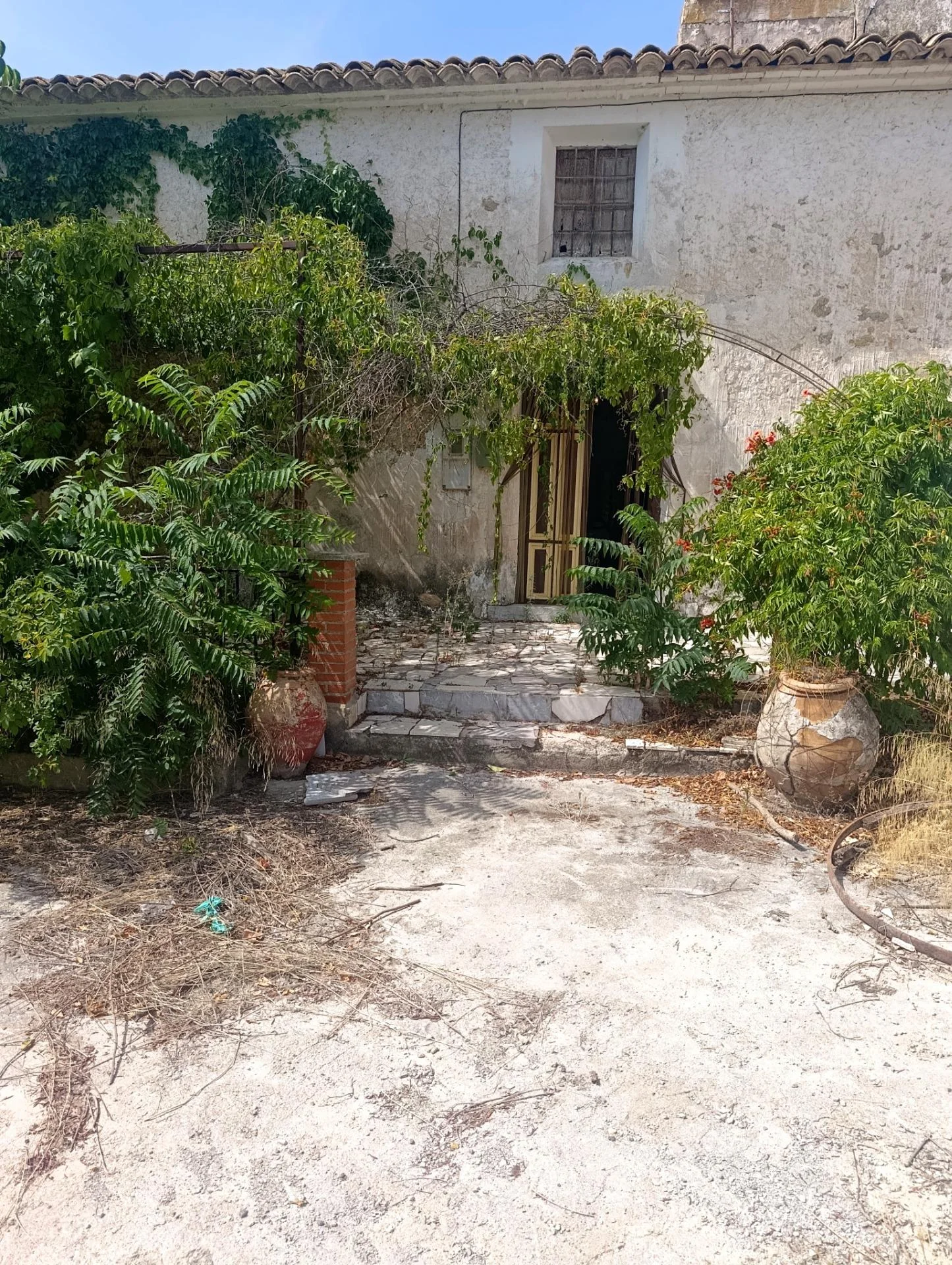 Rural finca with 654 m² building