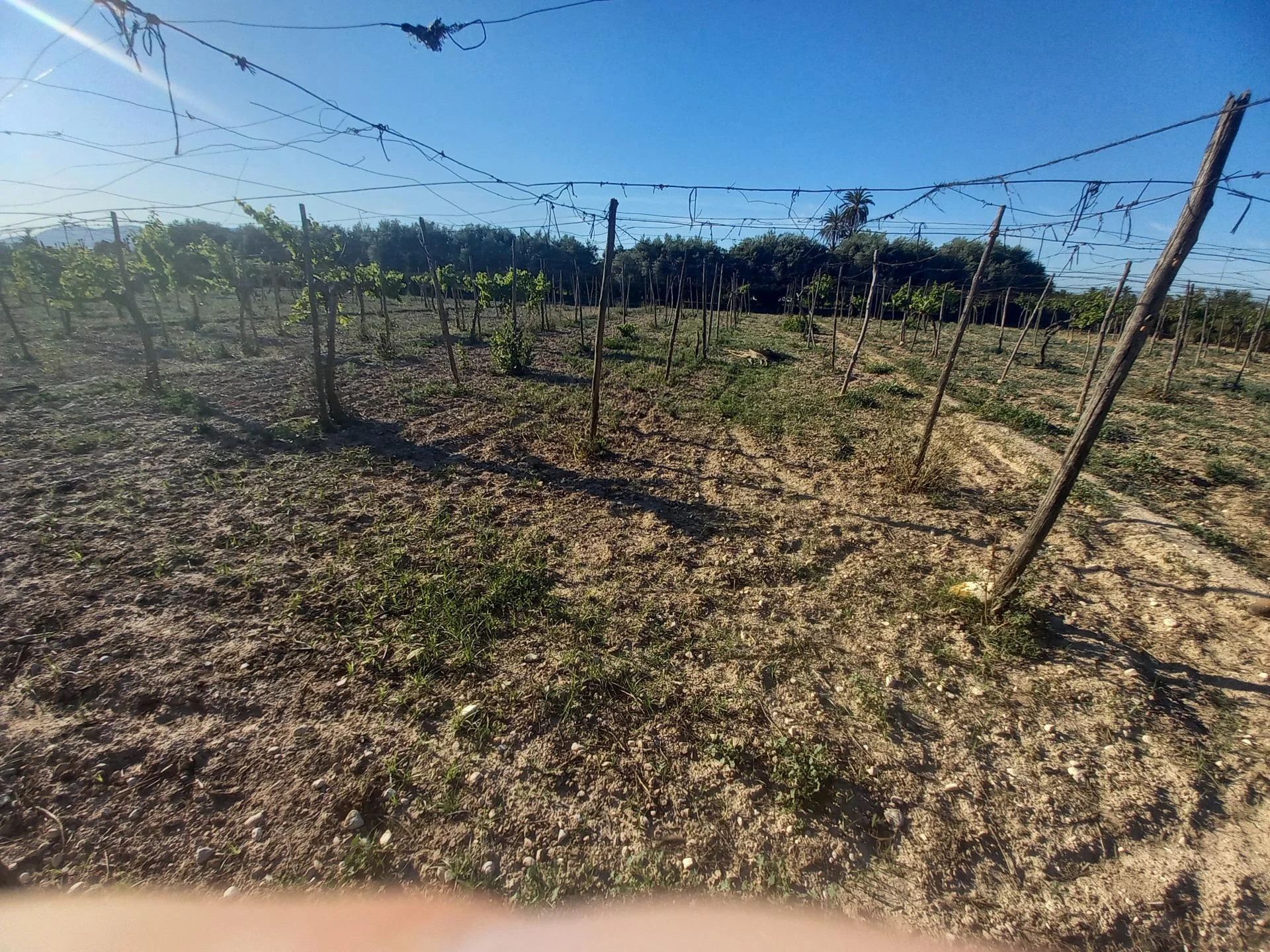 Rural plot with agricultural potential