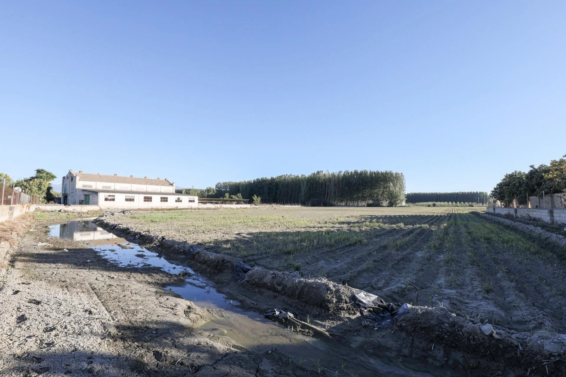Large productive farm, 326 m² building