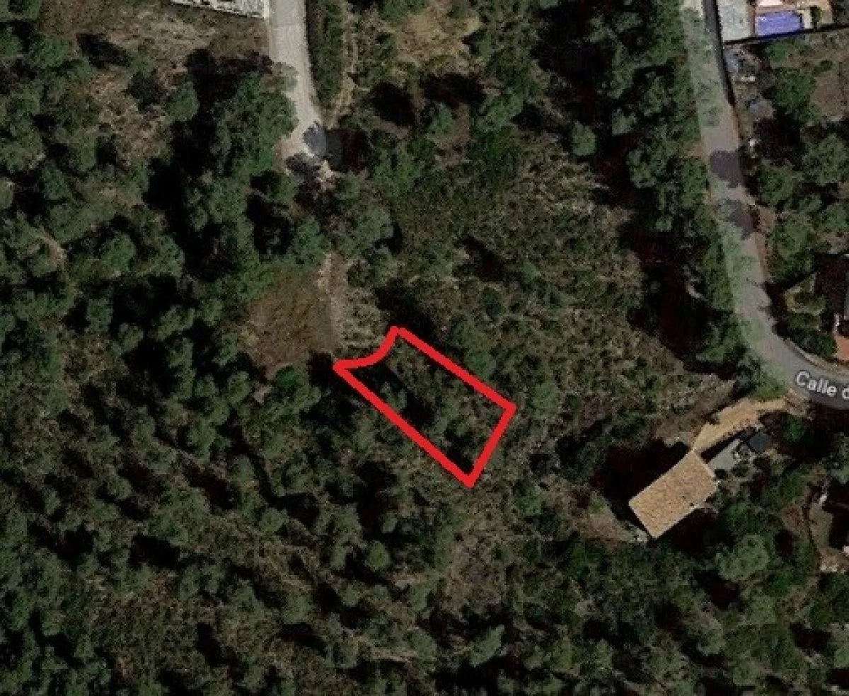 Parcela de 621 m² en Les Palmeres