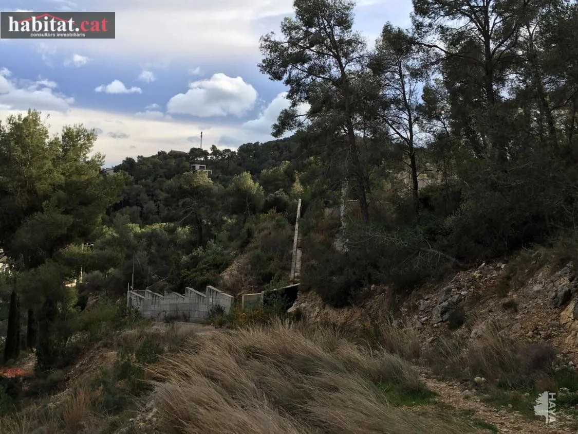 Large Cubelles plot, 1,133 m²