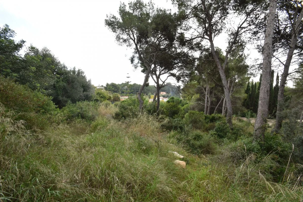 Terreno rústico cerca de Vilanova, 1.563 m²