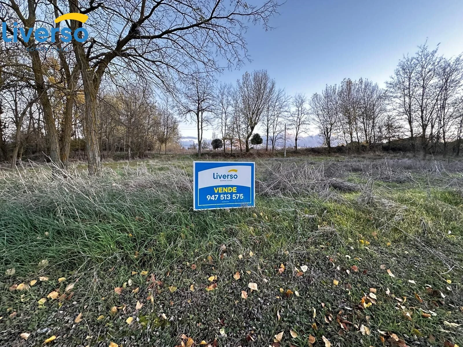 Rural land near Fuentespina, 12,650 m²