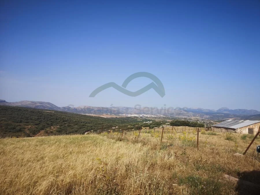 Rustic Ronda estate with 53 hectares