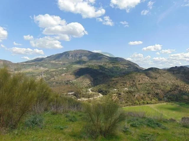 Rural finca with 115,000 m² land