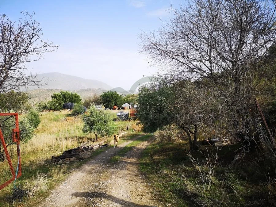 Fenced 25-hectare Zahara finca with well