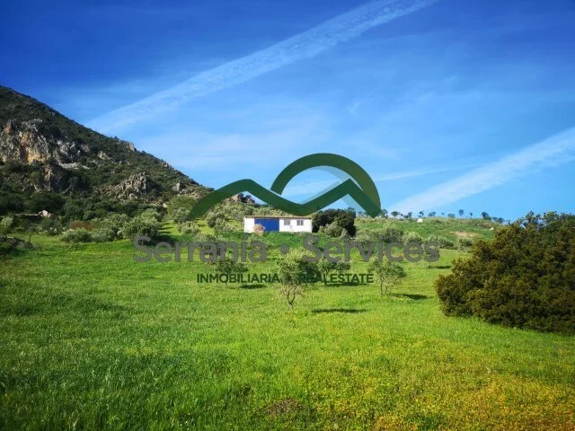 Finca rústica con nave nueva de 99 m²