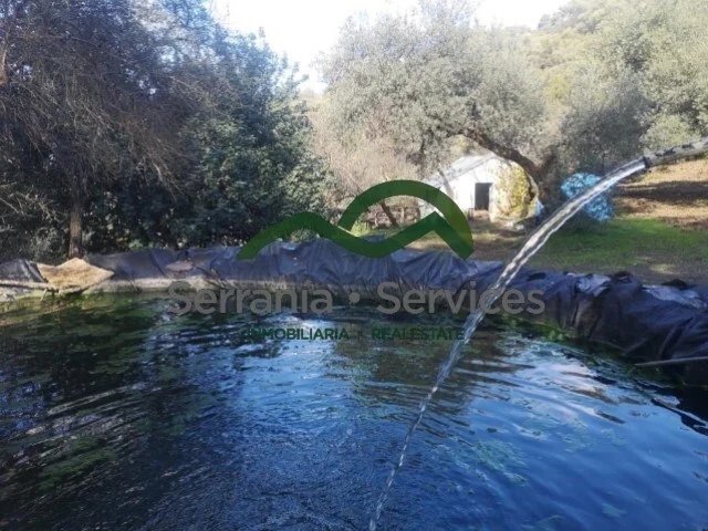 Finca rústica con 35.503 m² de terreno