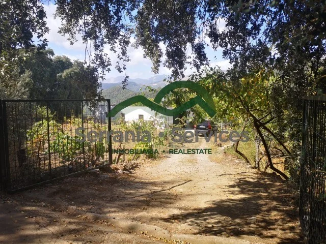 Finca de cuatro hectáreas con edificaciones agrícolas