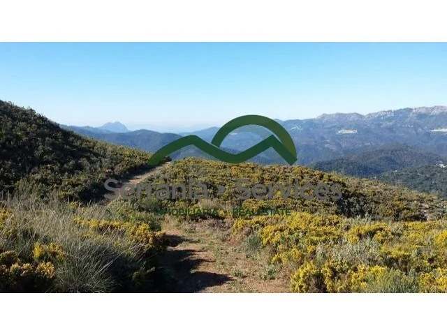 Finca de 44 hectáreas con tres ruinas