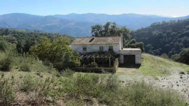 Gran finca en Alpandeire con dos casas