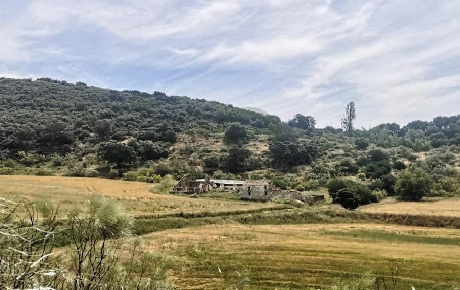 90-hectare finca with cortijo project