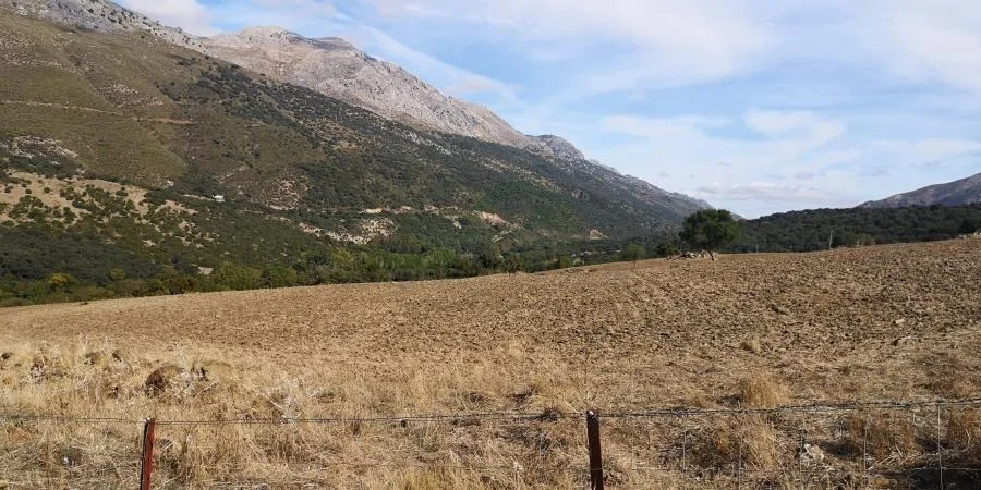 Large Cortijo Estate Near Ronda